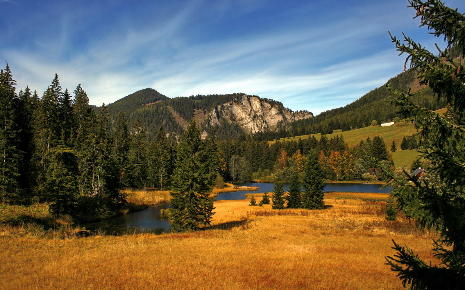 公牛计划加大对球员生活保障提升归属感,公牛 球队