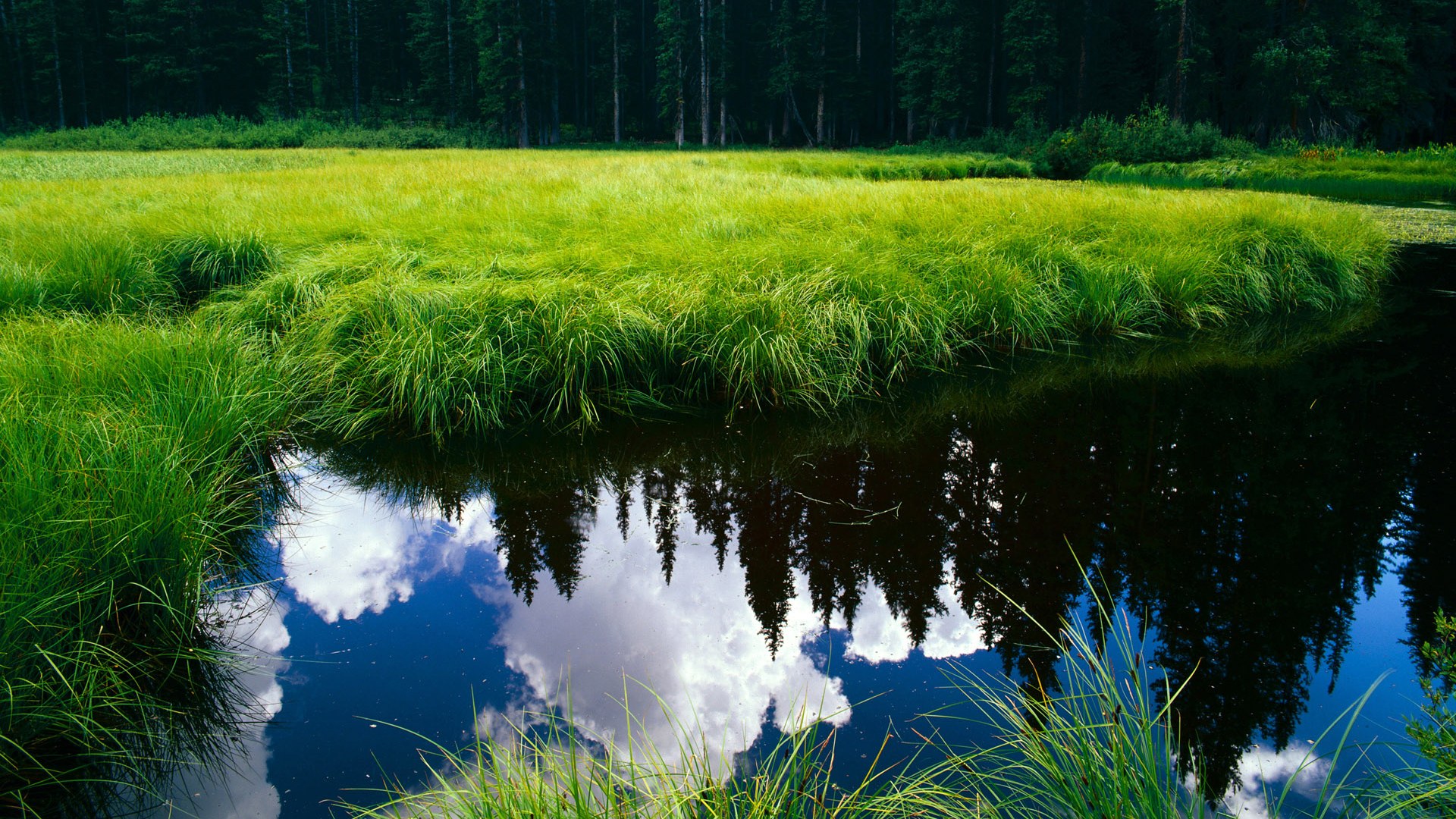 篮网官宣小前锋赛季报销补强迫在眉睫，篮网季前赛阵容