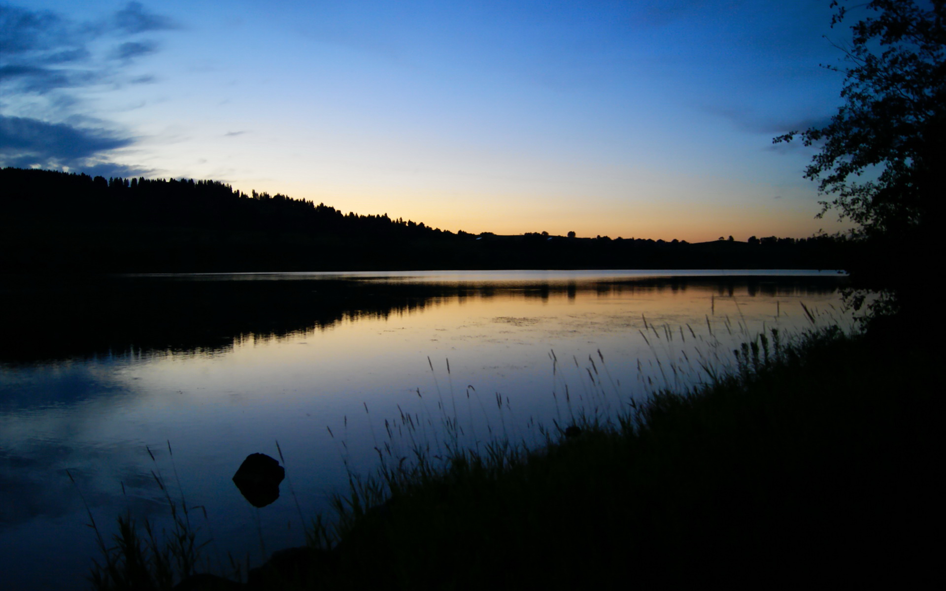 美洲杯最激情时刻：团结与拼搏的象征，美洲 杯