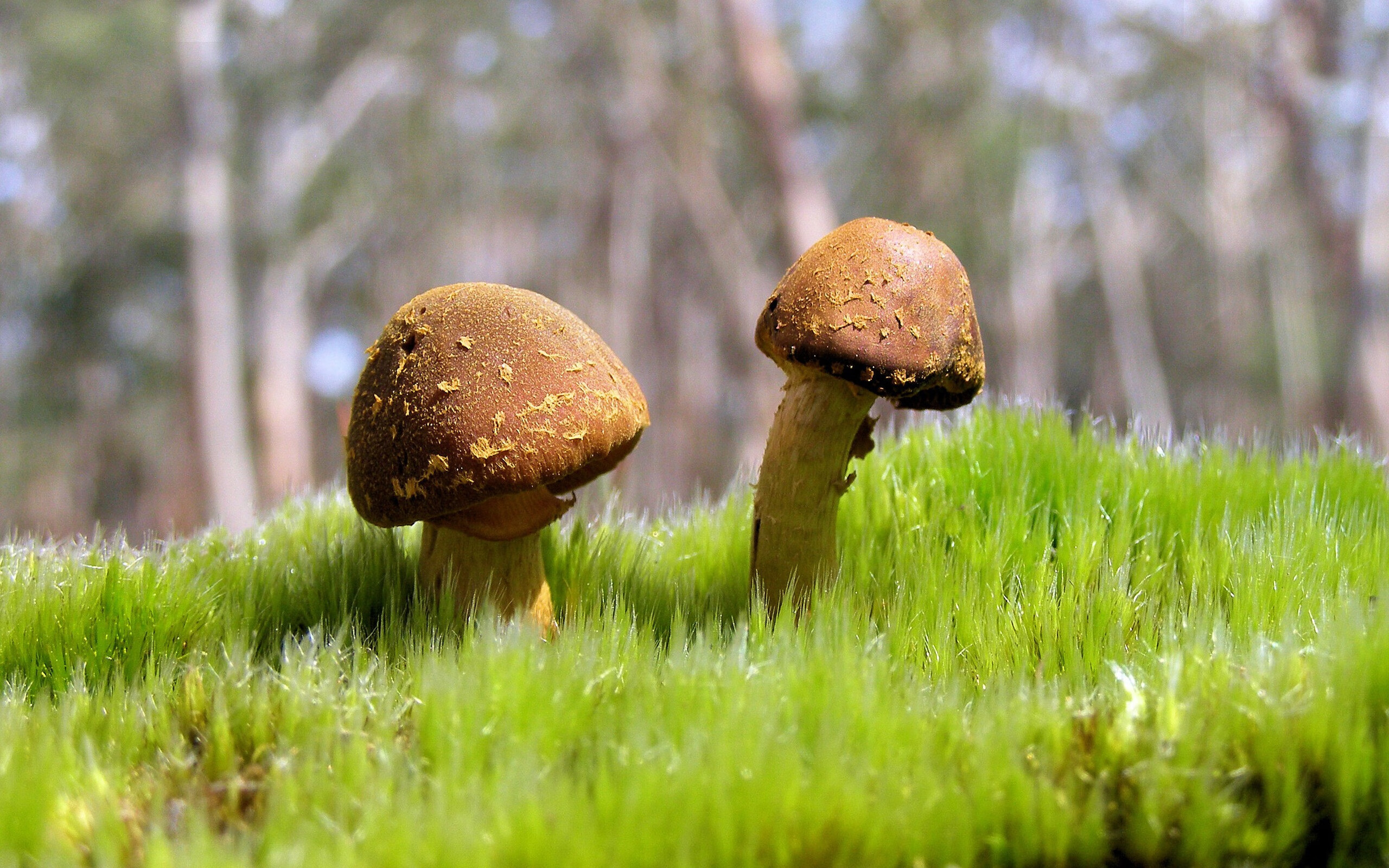 kaiyun-职业球员体能训练方案个性化设置保障状态稳定输出，球员体育