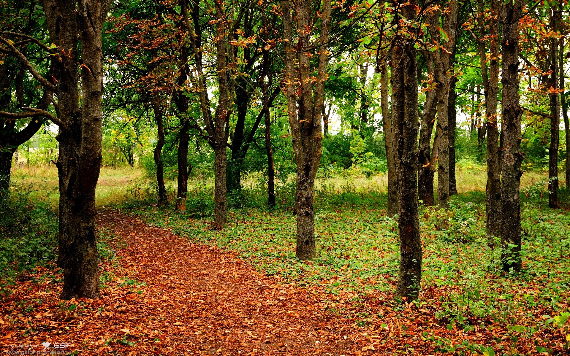 英超逆转传奇：最后一分钟创造神话！，英超逆袭夺冠