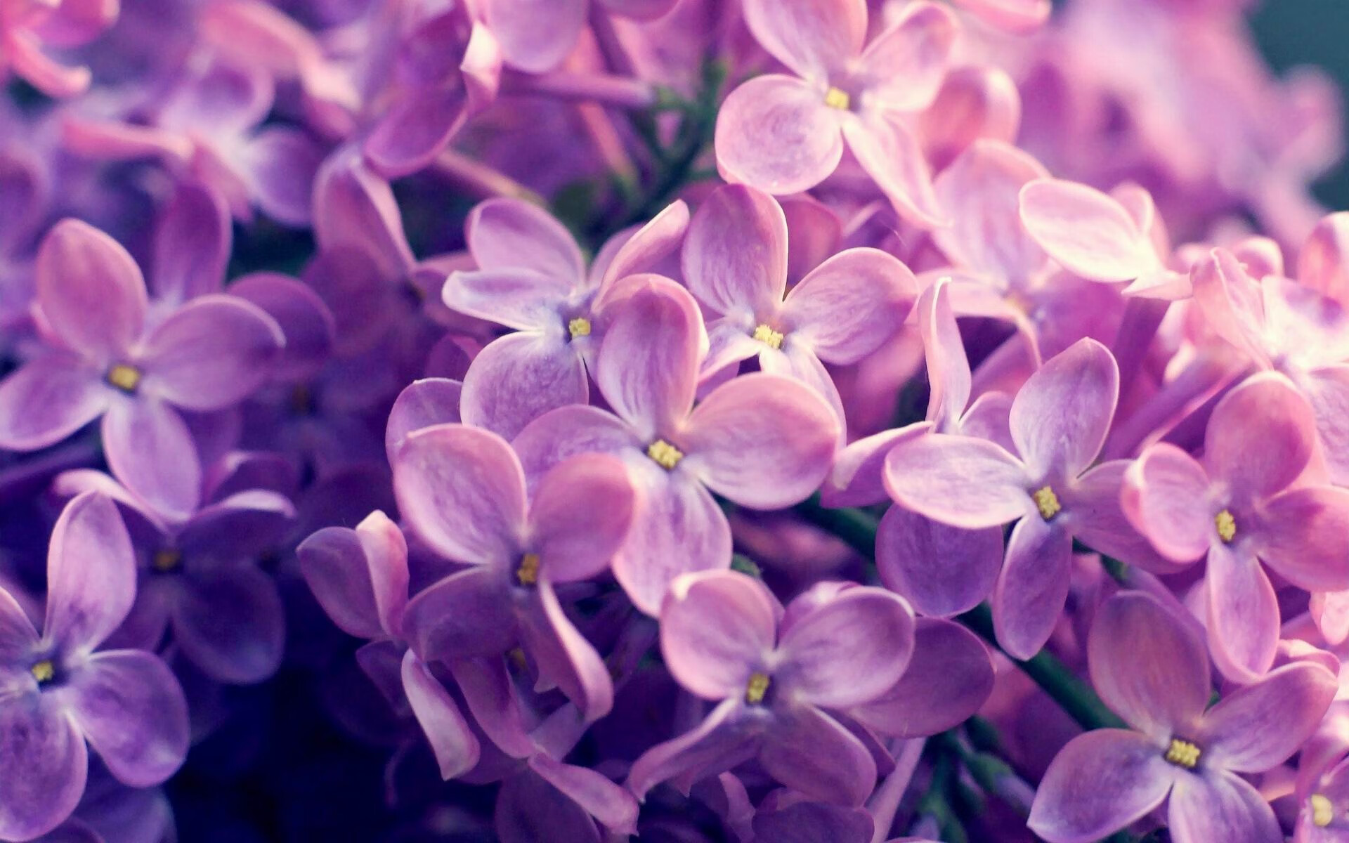 青少年篮球训练营引进智能监控设备提升训练数据精准度，青少年篮球训练器材有哪些