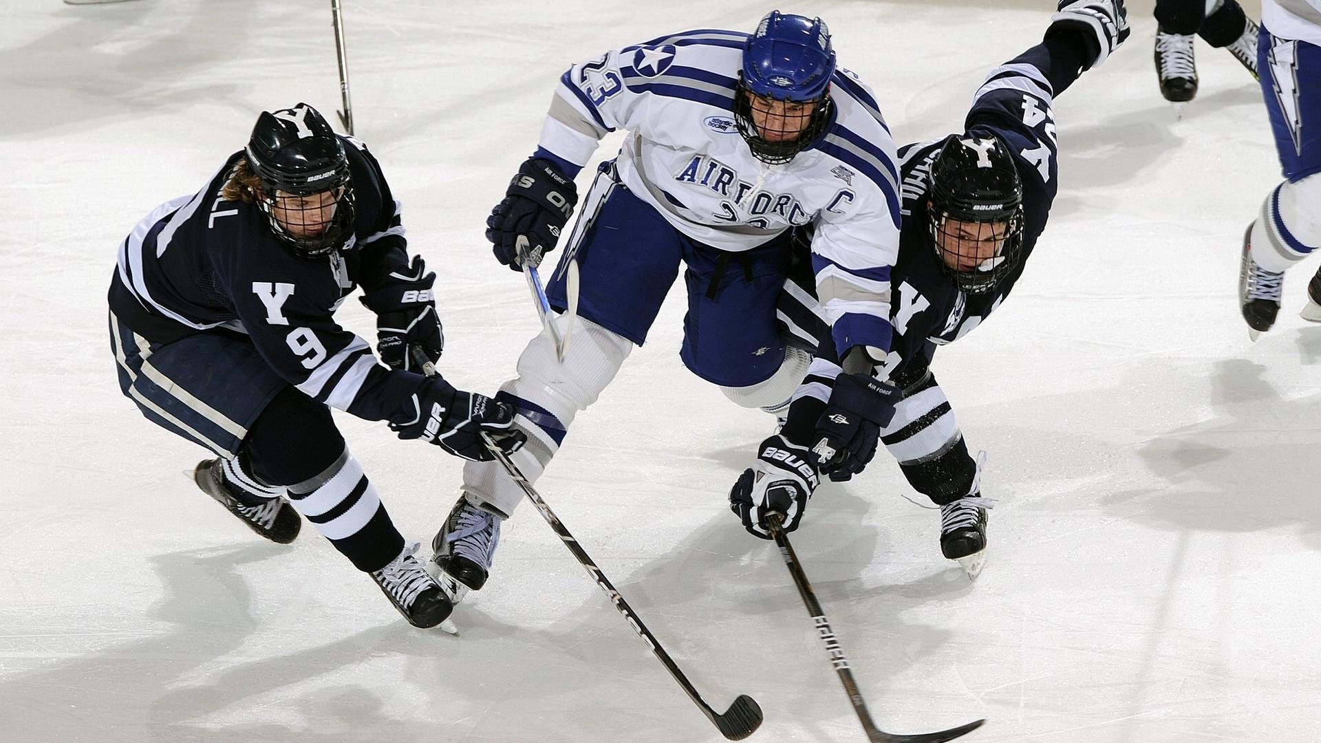 _文化体育结合：非遗项目大展风采_，体育非物质文化遗产调研报告