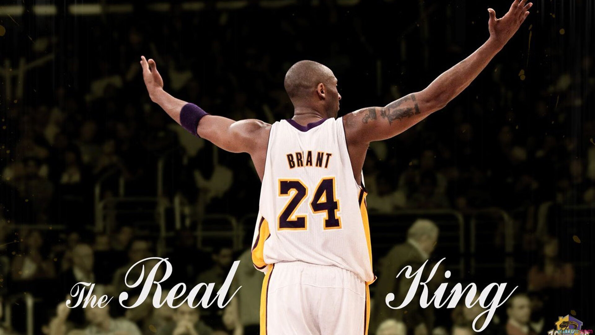 快船球迷组织创建官方播客频道，讨论球队走向，快船主场球迷